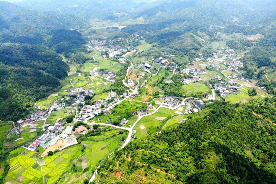 永定枫林村绿色发展蝴蝶翩跹