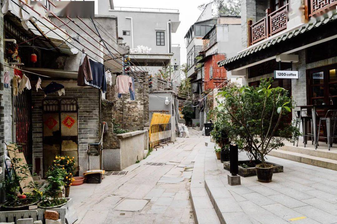 广州老三区这11个街区最适合冬日去散步