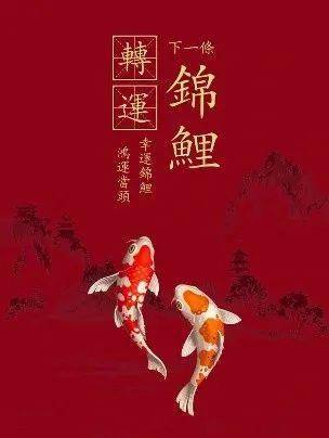 锦鲤在中国传统文化中代表"大富大贵""前程似锦"的美好寓意,现在我们