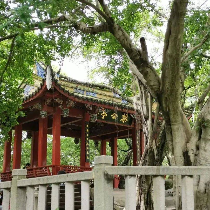 古韵悠长,风景极佳!到“三山之首”的乌山,观摩乌山石刻与千年乌塔吧! | 鱼说榕城_福州_王延曦_五代