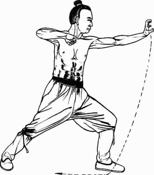 峨眉拳高级内功功法_腹腔_容积_生理