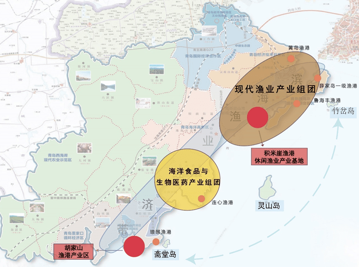 西海岸渔港经济区获批建设_渔业_产业_工程