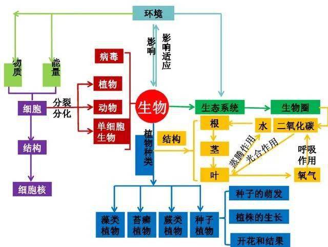 初中生物七年级上知识框架