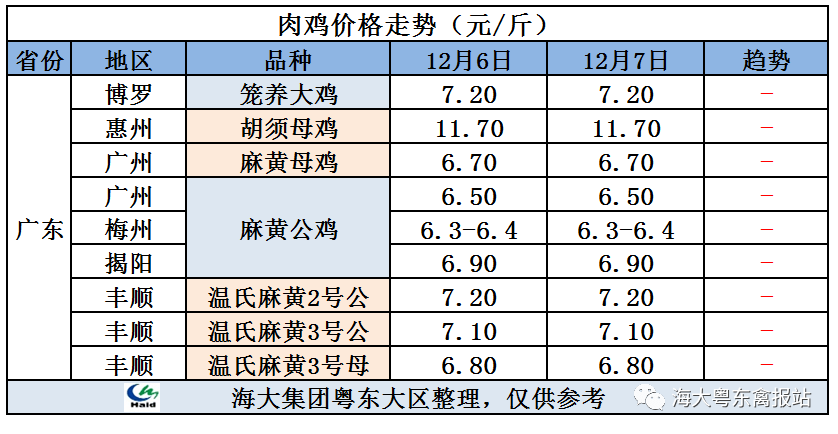 20211208明天鸭子价格鸭价即将大涨黄金鸭马上翻红