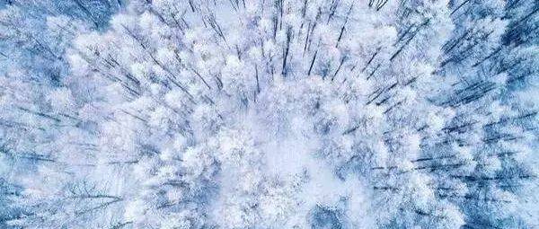 雪中最美是雾凇,太美了,太美了!_树挂_日期_两岸