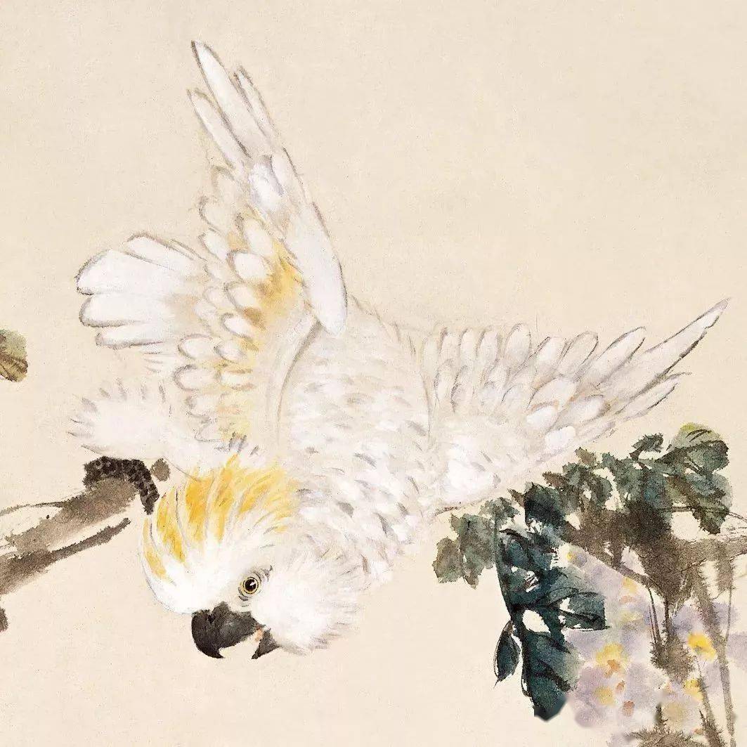 当代名家花鸟画教程全套4册萧朗画鸡,花卉,翎毛,草虫天津人民美术出版