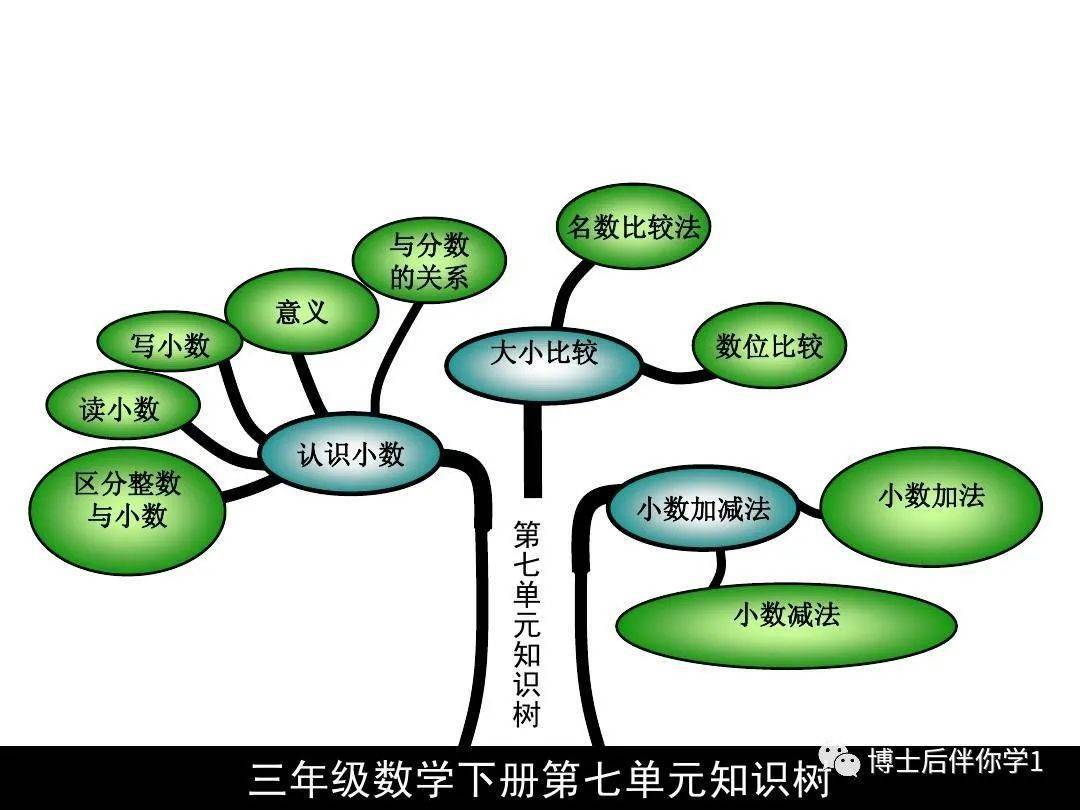 博士后伴你学 三年级下册数学知识树