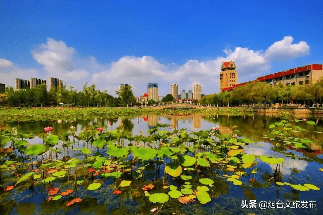 晚霞|在烟台，看遍四季美景更迭