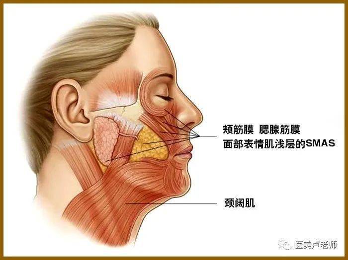 颜面老化的五个不同层次