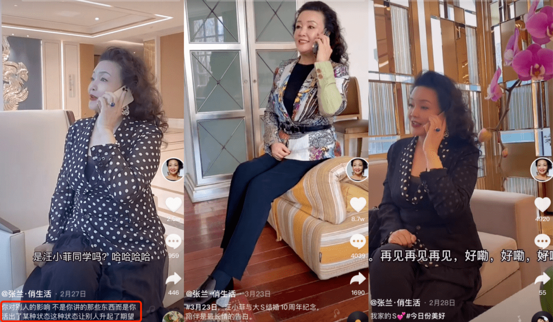 "第三个系列是流量颇高的"个人生活"系列,张兰在视频里经常提到孙子