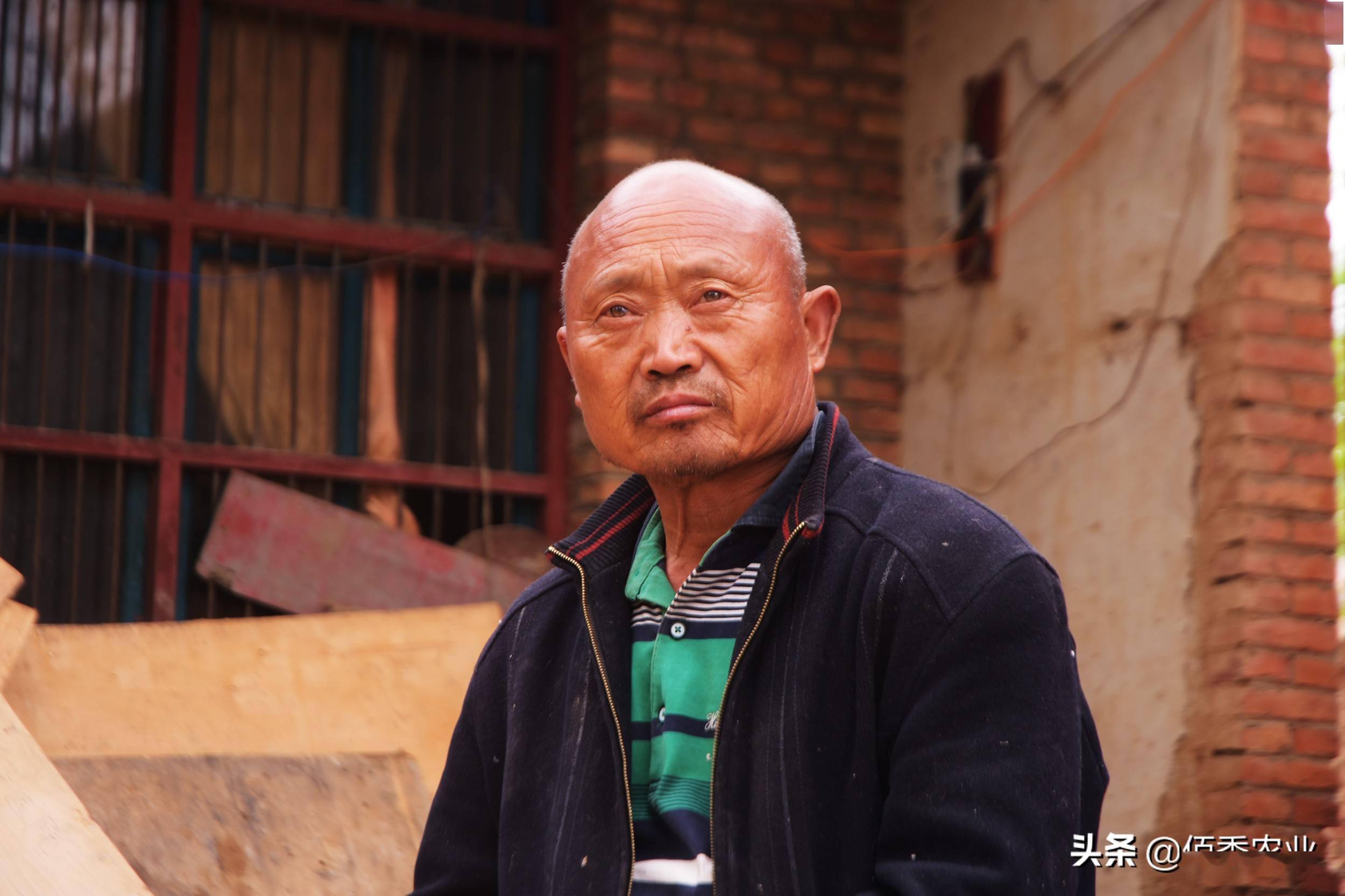 最无奈的退休60岁以上农民工禁止进入工地挣钱之路被堵上