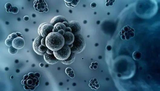 什么是流感病毒 ed9b5504a4f544b1a8271264d778a96b.jpeg