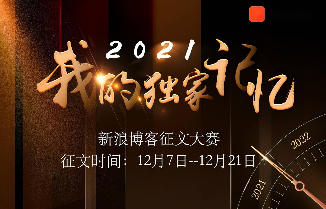 产假|2021年底，博客盘点