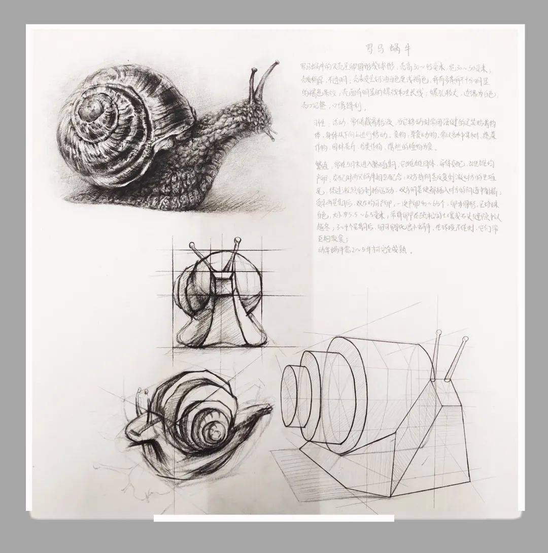 课程展|21设计1班视觉传达专业《设计基础》