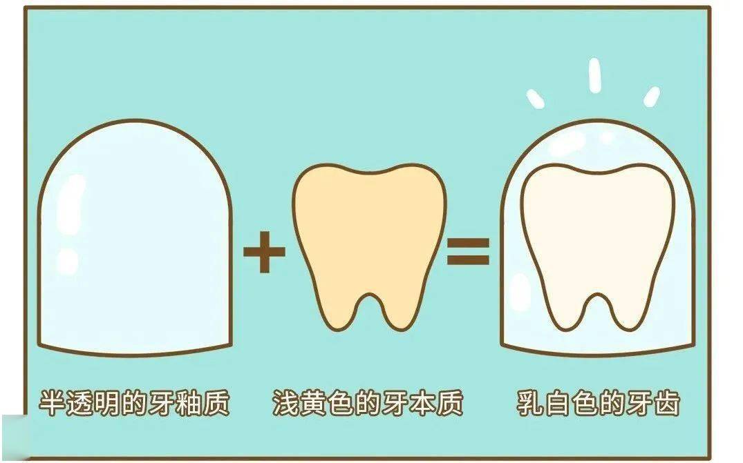 著色_牙釉質_表面