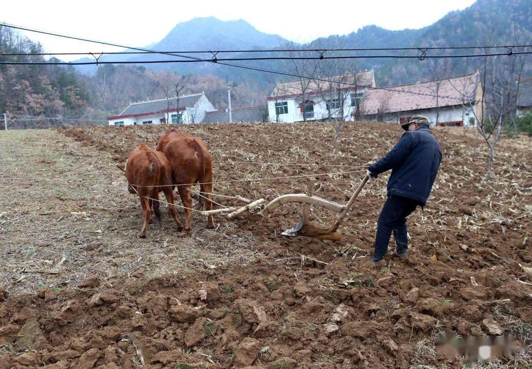 斜耙地走法全过程图片