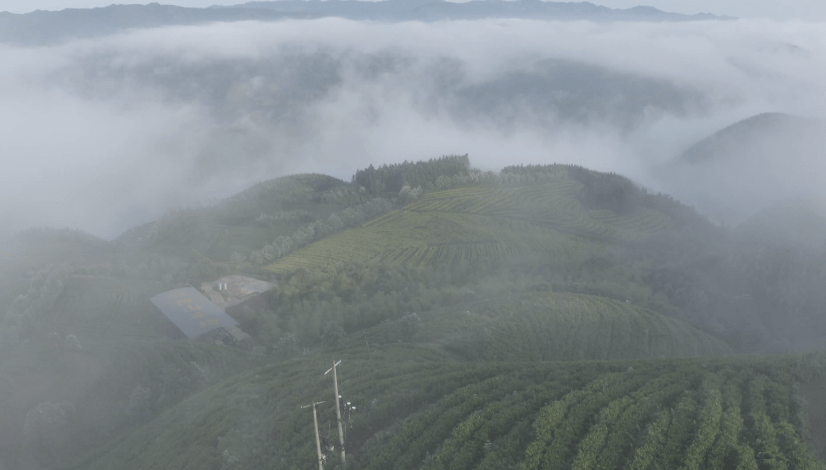 云雾|双牌云台山：云海翻腾 宛如仙境