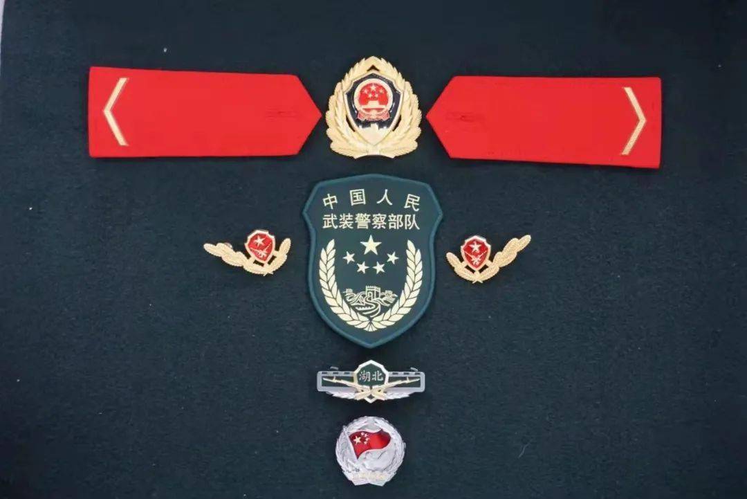 国防服役章和党徽图片