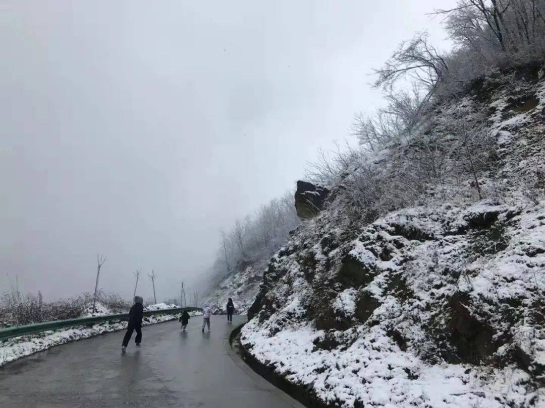 铜川|雪雪雪雪雪雪雪雪雪！陕西预警持续！