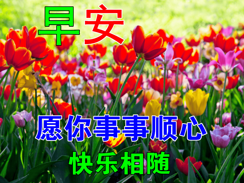 12月11日冬日早上好动态表情图片大全早晨好动图美图大全