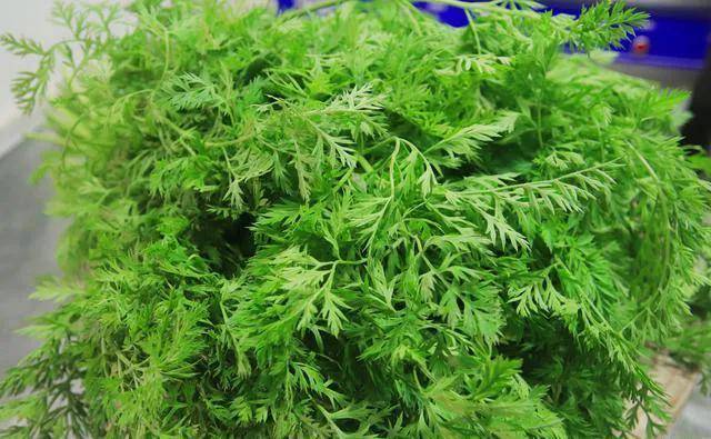 缨子时代的发展,人们开始和猪,和羊抢食物了,原来喂猪喂羊吃的野草