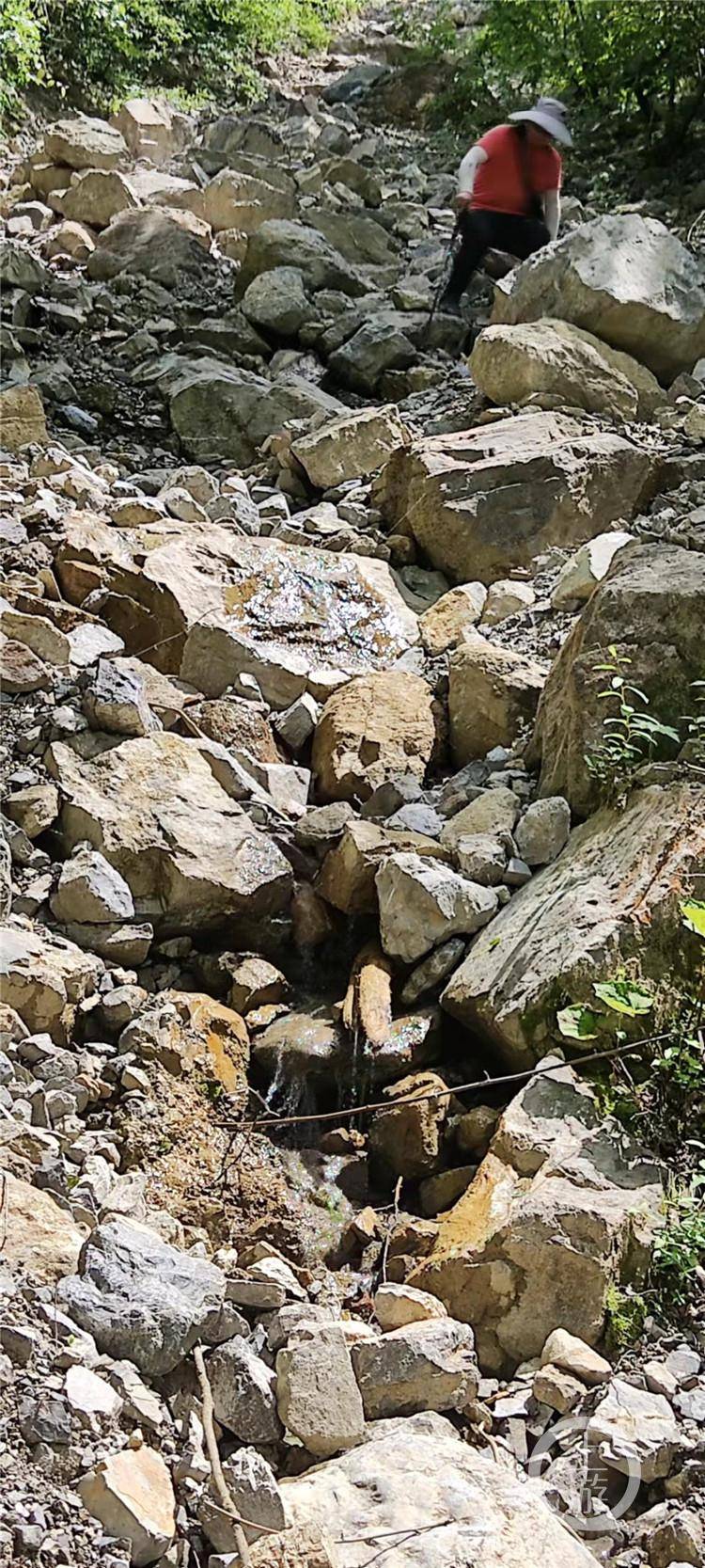 地质调查人员的日常 雨天不上山 遇见野猪赶紧跑bob官方下载链接(图1)