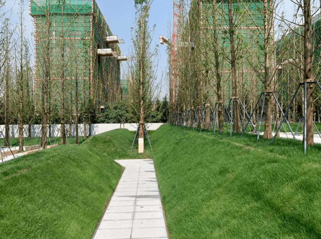 (1)斜坡上种树会影响斜面的平整度,更甚者会压垮整体地形的几何轮廓