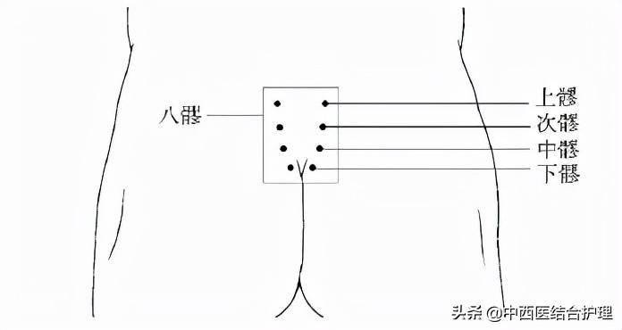 八髎定位技巧图片图片