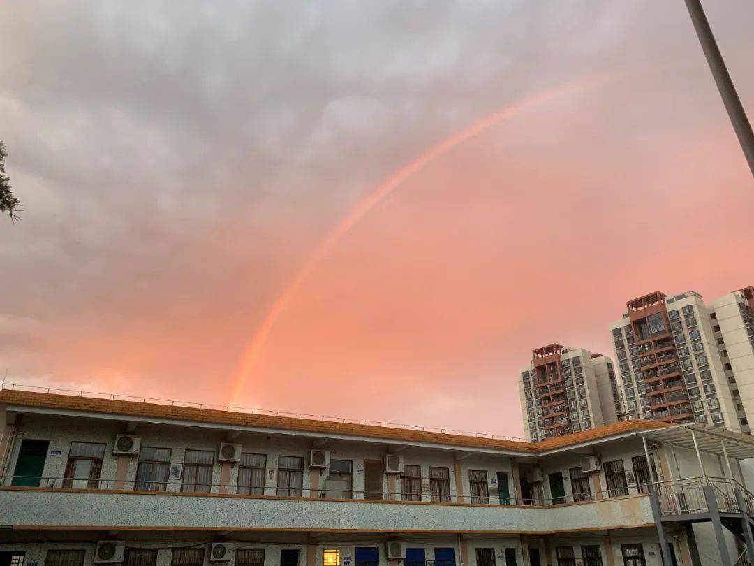 校園日常83崇雅實驗改名徵名穿裙子小哥哥奪冠大一中回憶珍惜惠中每