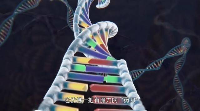 【晒晒咱的国之重器10】短视频丨基因编辑的精准“剪刀”