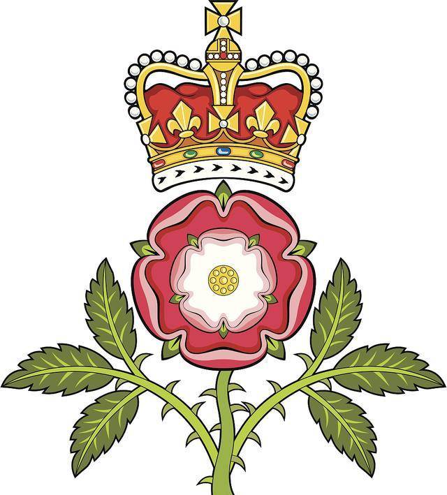 红玫瑰侵吞白玫瑰,英国都铎王朝美丽图案背后的战争,权谋与端倪