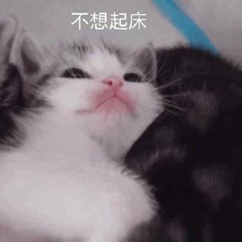 6b2d472d4d0849ef86754e00e85bcc60.jpeg