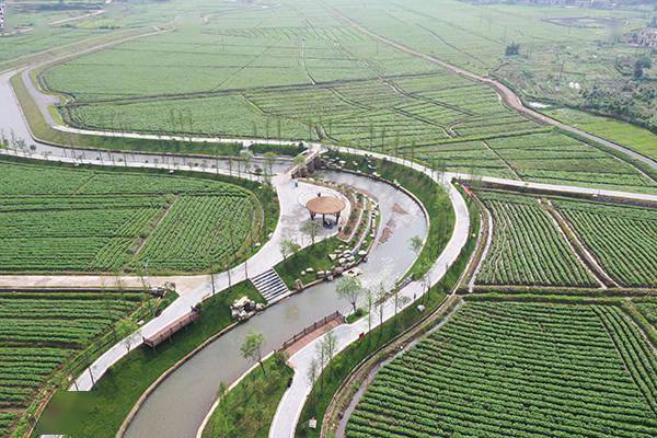 萍乡报道江西是个好地方萍乡赤山镇农旅融合助力乡村振兴