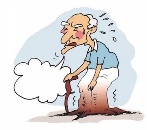 习惯|三个常见的伤膝动作要注意