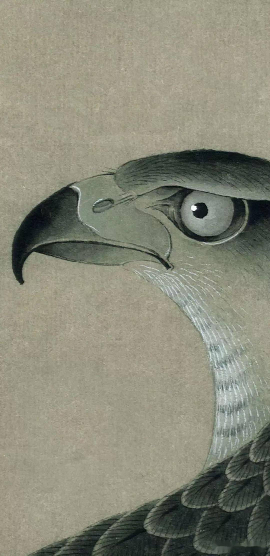 临元徐泽架上鹰图工笔绘制解析