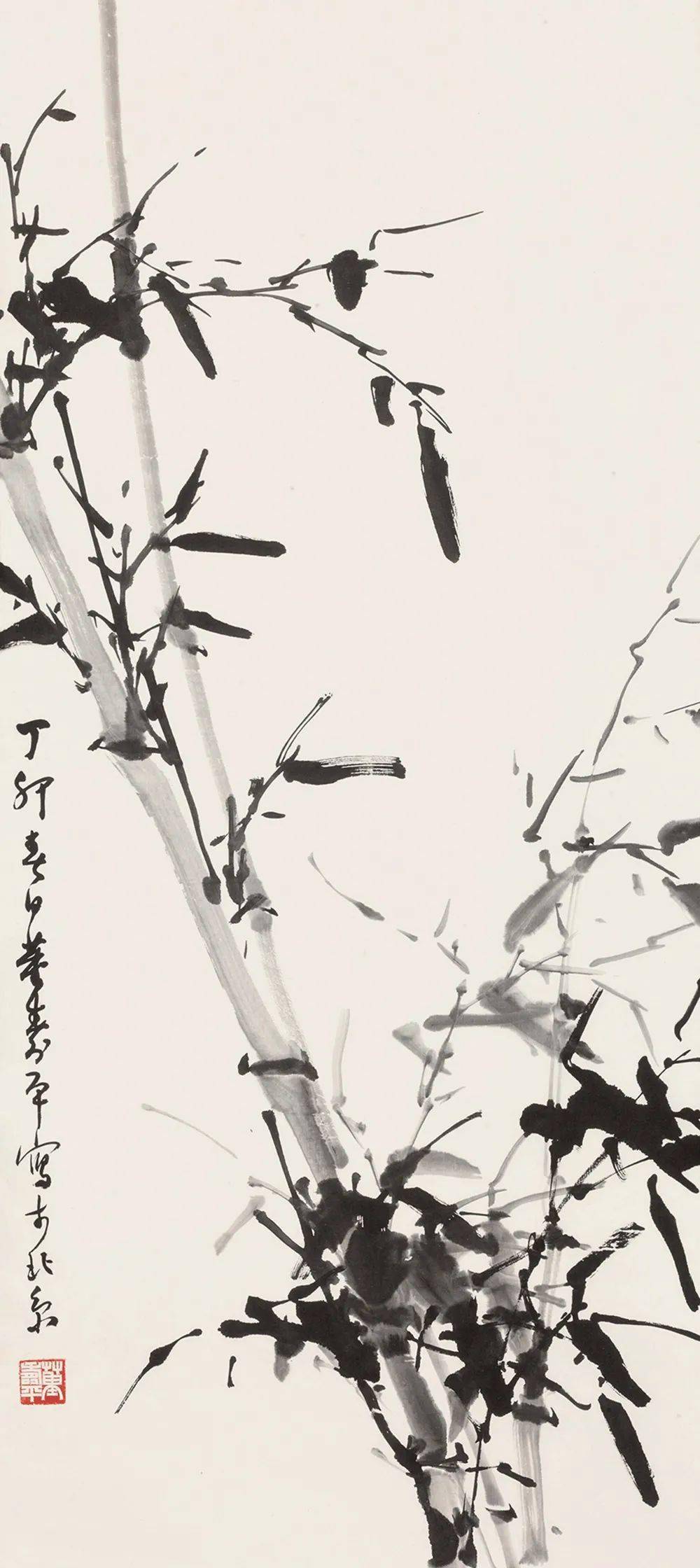 董寿平的竹子图片