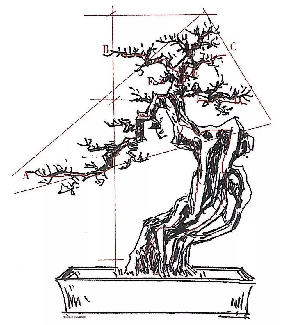 树桩盆景构思图解图片