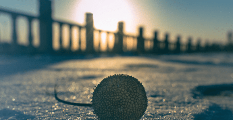 ebcab389262f465f9073bea08990ca77.png