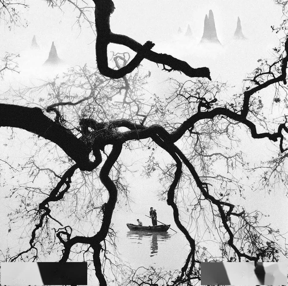 因为|“不要因为我拍过三级片，而否认我是一个出色的摄影师”