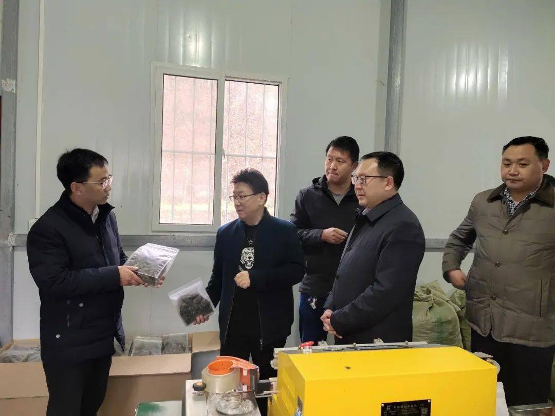 省农业农村厅张拴林一行到岸门口镇考核实施乡村振兴战略和巩固拓展