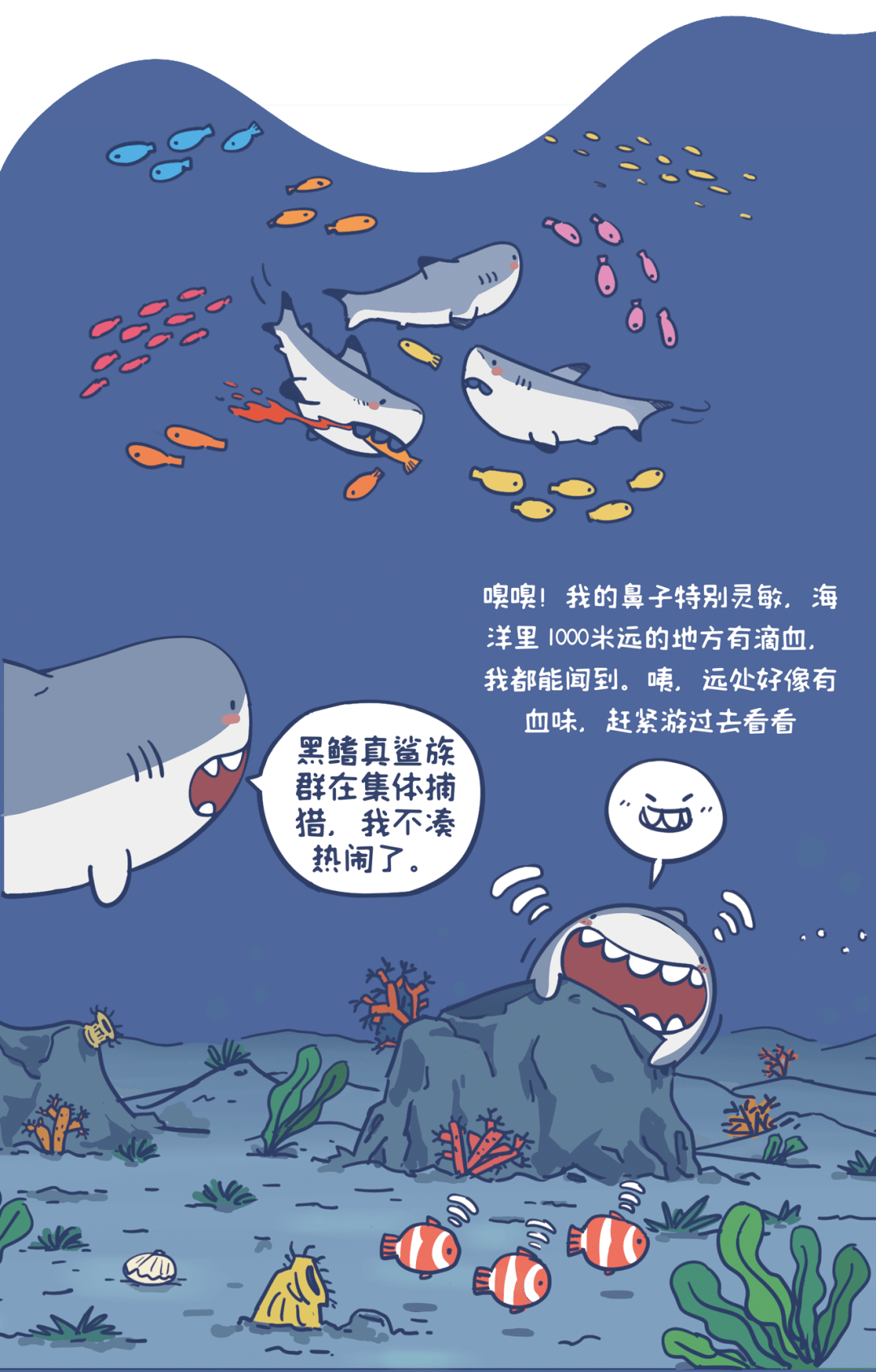 科普漫画海洋猎手鲨鱼