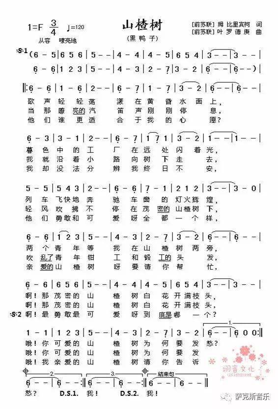 山楂树50年代苏联经典爱情歌曲深情唯美次中音萨克斯音乐