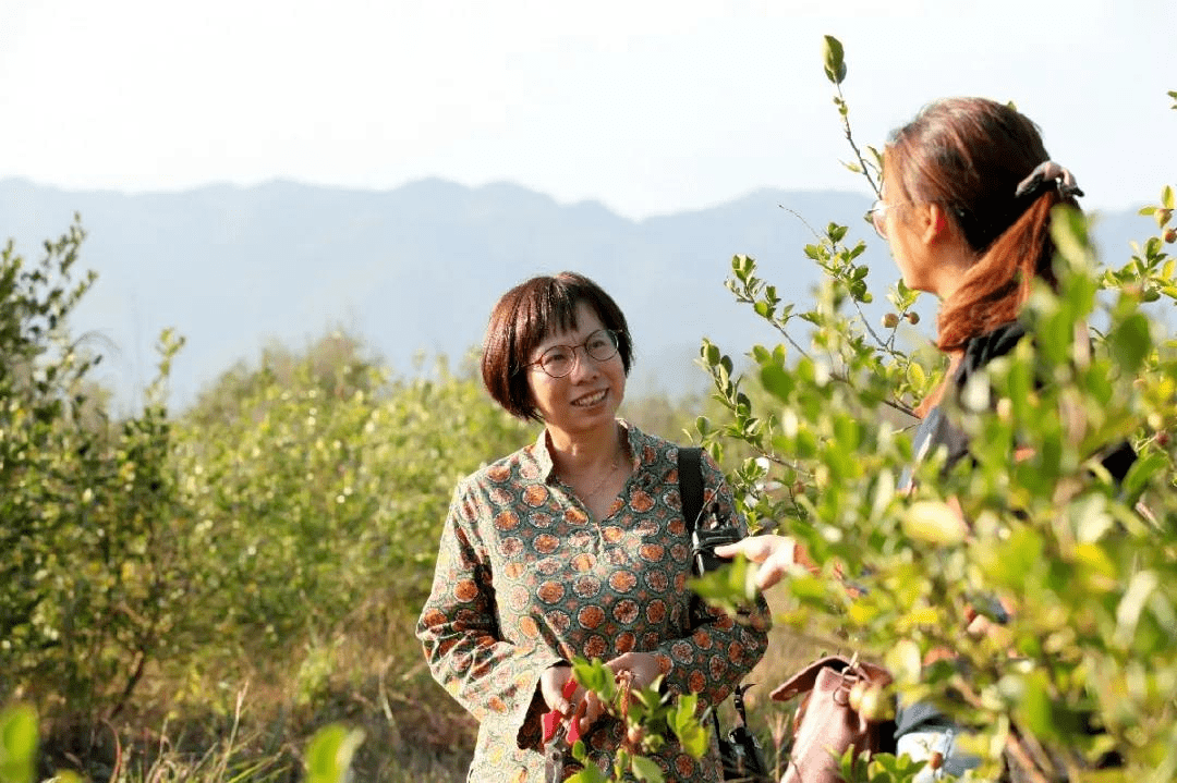 最美女科技工作者李志真傾心油茶十餘載科技種出致富路