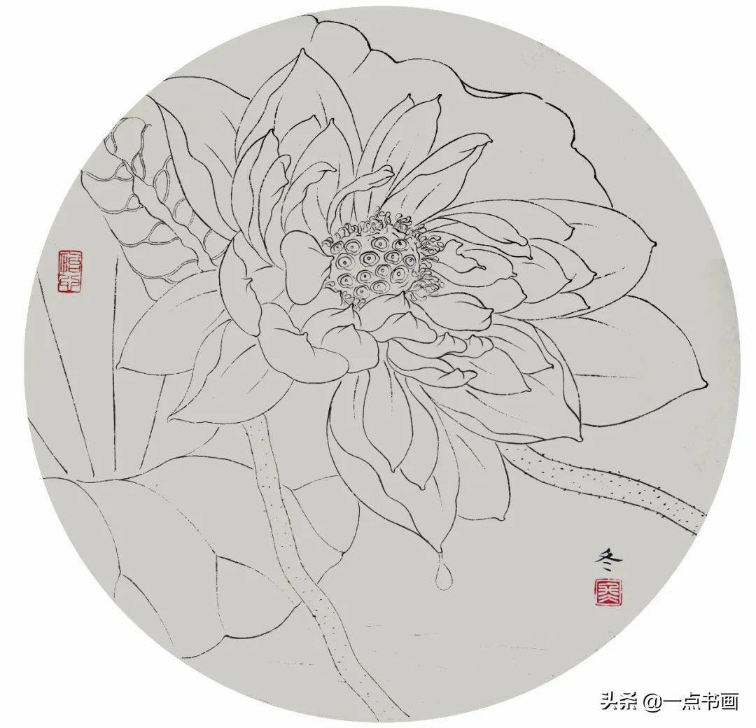 67分享二组工笔荷花扇面绘制步骤_荷叶_花瓣_青统染
