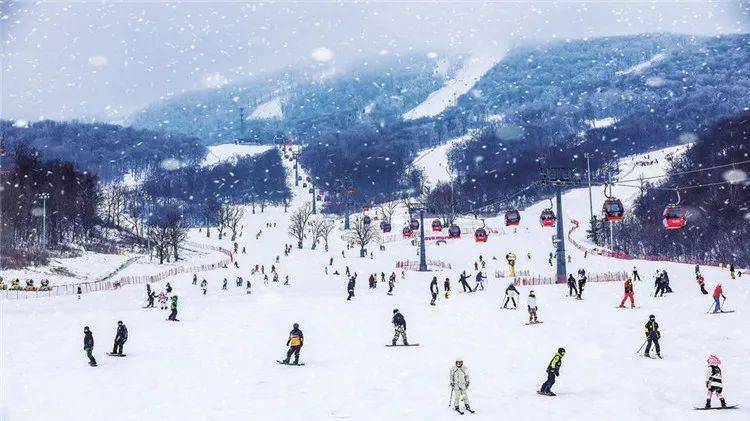 吉林市四季滑雪场图片