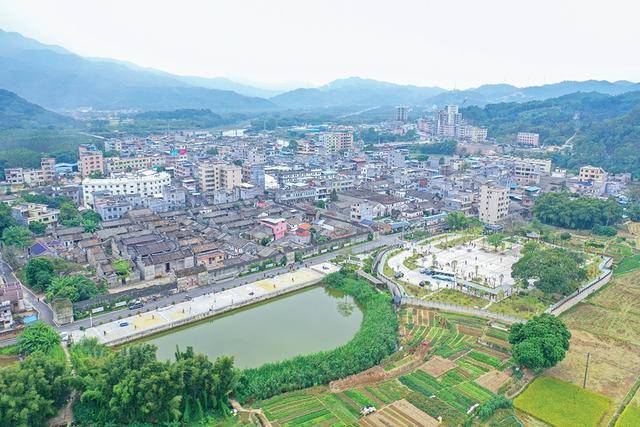 龙门·绳武围综合项目启动 拟投资25亿打造美丽乡村_围墙_龙华圩_李素