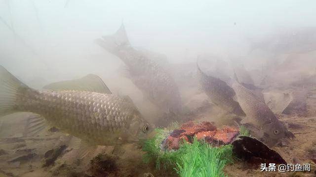 ������߲������ǵ��¶�,˵����ʵ��,���ɲ��Ų���ȫ��