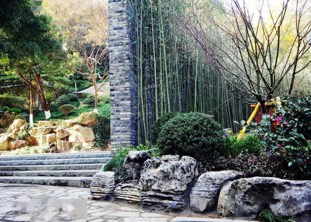 备受关注的温州永嘉学派文化公园海坦山公园提前完工啦！