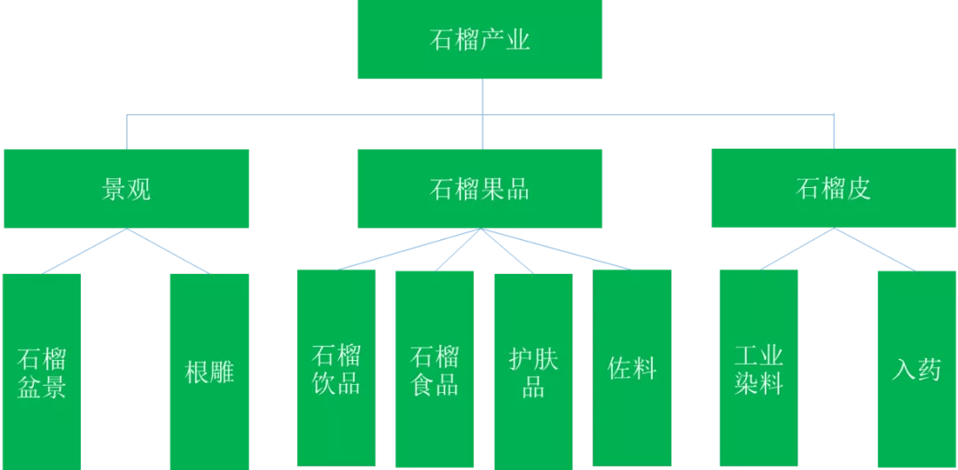 2021���ҹ�ʯ���ҵչ��������