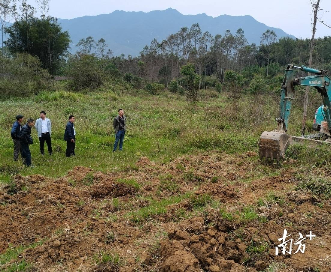 3400亩英德东华镇纪委督导荒田变耕地